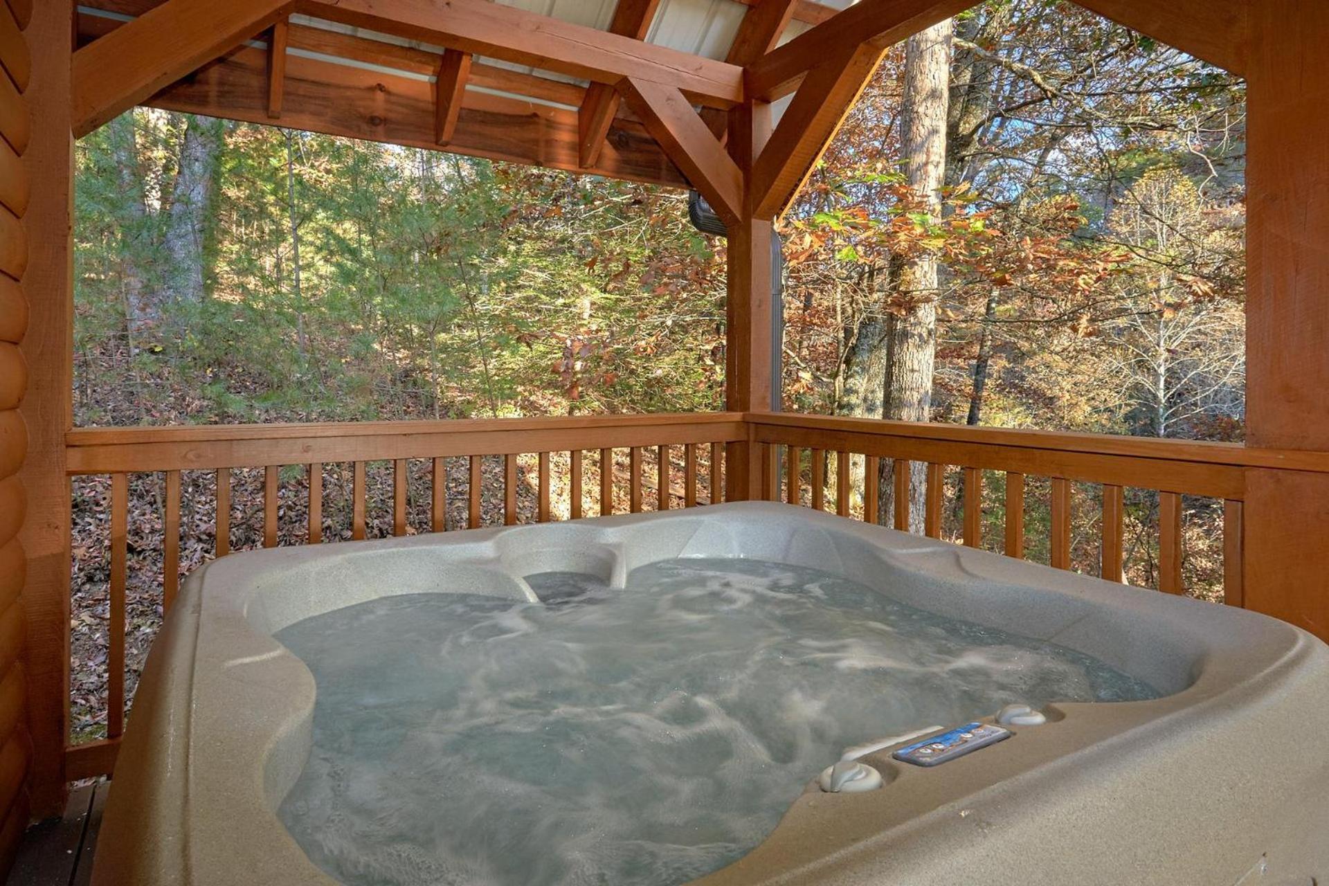 Wet Bear Paws #146 Sevierville Exterior foto